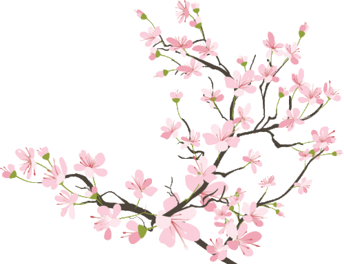 crab apple